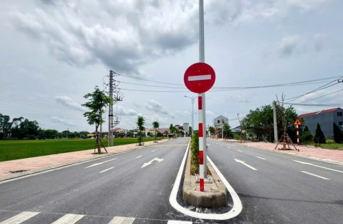 Gia đình cần tiền bán Gấp 87,5m2 đất đấu giá dịch vụ XUÂN MAI-PHÚC THẮNG- PHÚC YÊN- VĨNH PHÚC